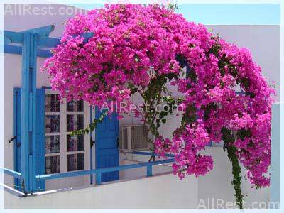 Atalos Villas 4